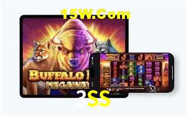 Experiência VIP 3SS